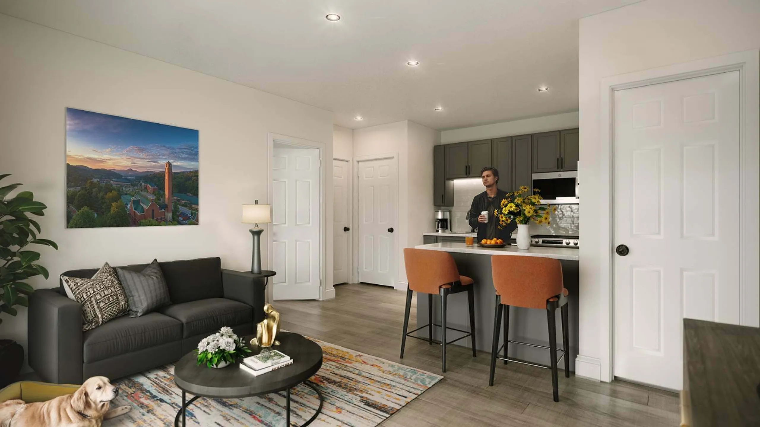 Modern living room with kitchen area.